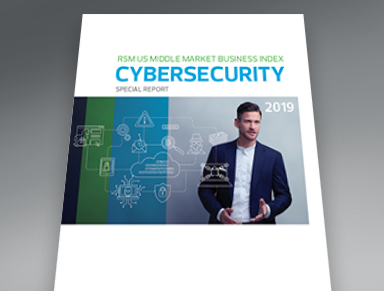 cybersecurity report
