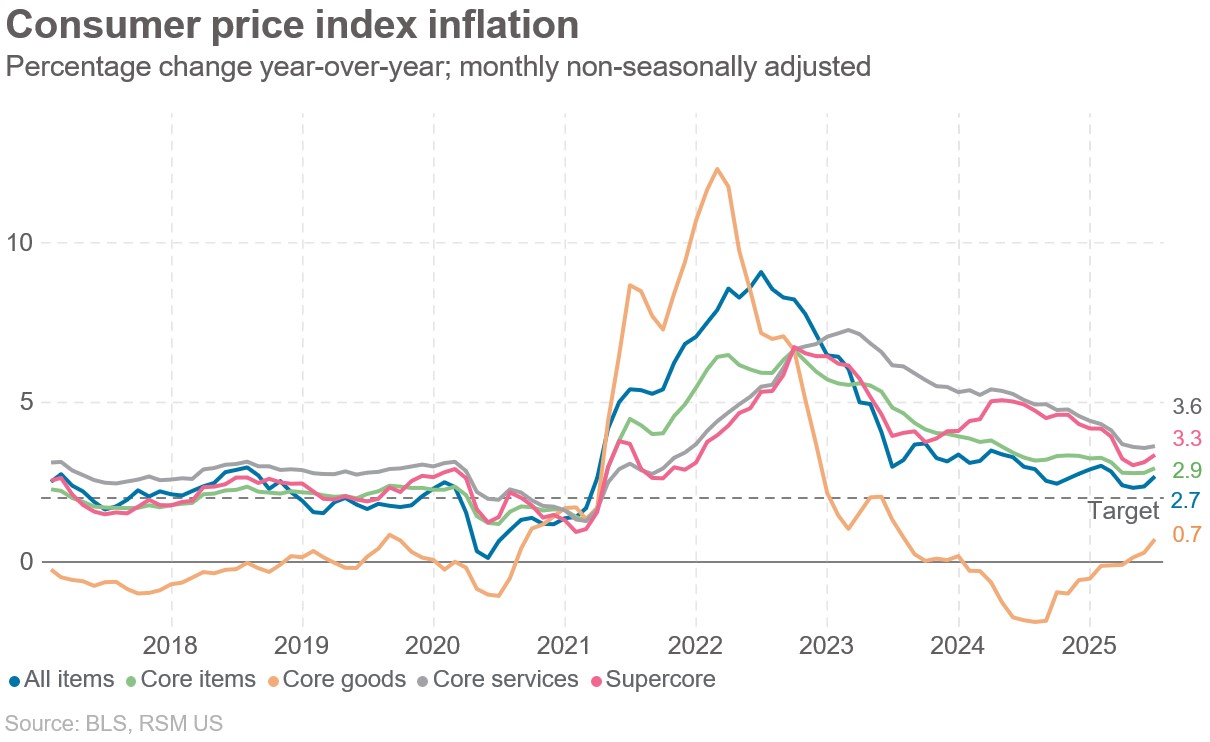洋書 Chronic Inflation U.S. consumer price index creeps higher in June | The Real